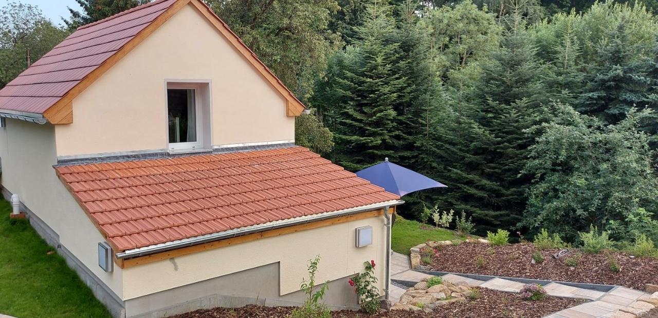 Ferienhaus Richtermuehle Sebnitz Luaran gambar