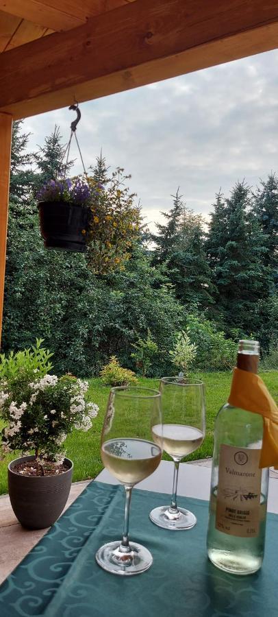Ferienhaus Richtermuehle Sebnitz Luaran gambar